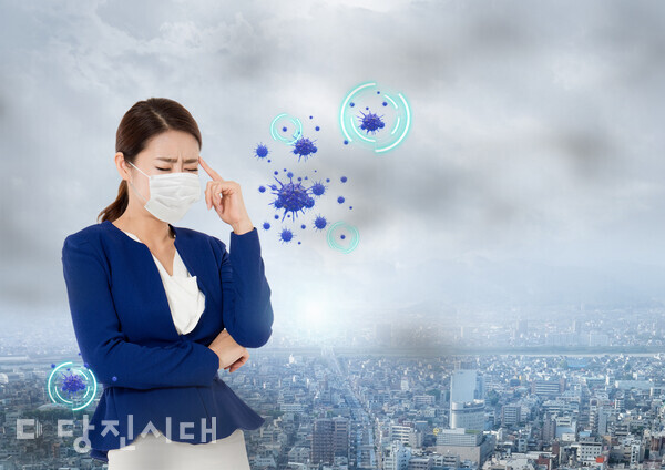 이 사진은 본문 내용과 직접적인 관련이 없습니다. 이해를 돕기 위한 자료 사진입니다.