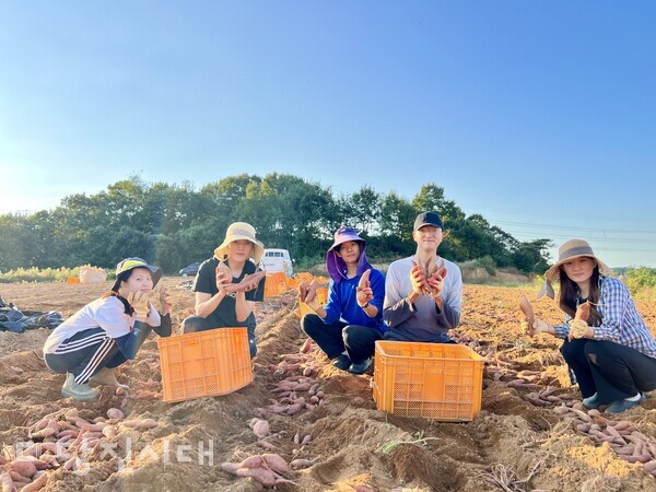 중앙대 도시계획·부동산학과 대학생들이 석문지역을 방문해 지난 3일부터 2박3일간 농촌일손 돕기를 했다. (사진=당진시농업기술센터)