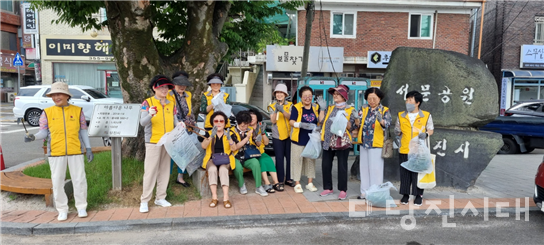 대한노인회 당진시지회의 서문리 봉사단 20명은 지난 18일 서문공원 일대에서 환경정비와 캠페인을 진행했다.