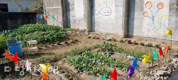 폐가를 허물고 공동체 텃밭(오른)을 마련해 당진1동주민자치회‘도시농부’프로젝트를 펼치고 있다.