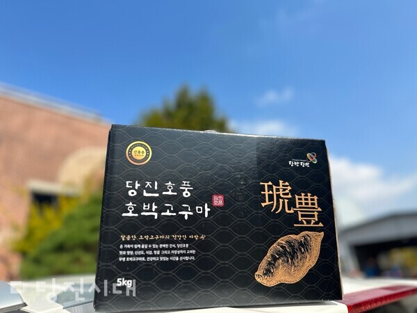 당진시가 품종 특화사업하고 있는 호풍미 고구마
