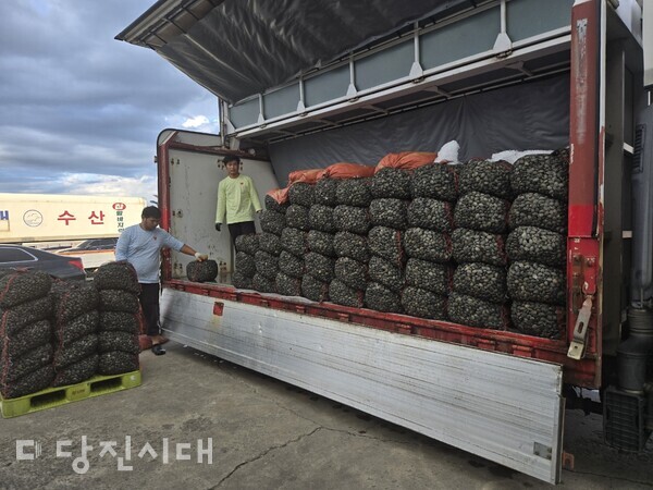 바지락 운송 준비를 하고 있는 직원들의 모습