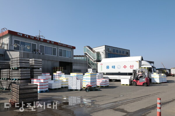 신평면 부수리에 위치한 용태수산