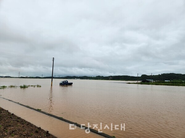 고대면 항곡리 앞 채운뜰