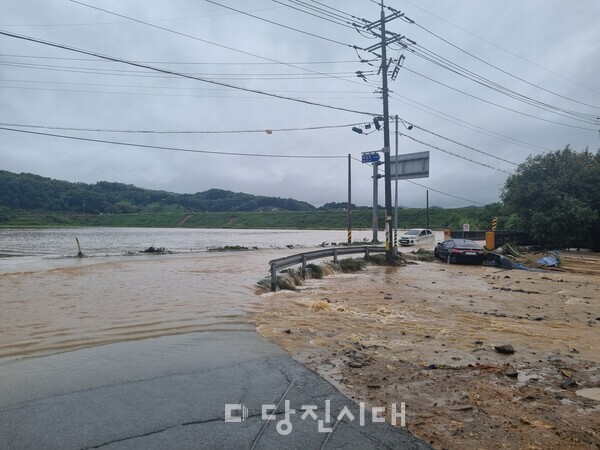 순성면 매실농원 주변 논 침수 상황