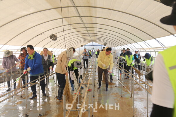 순성농협과 남서울농협, 어기구 의원 등이 참여한 가운데 순성면 농가에서 수해 복구 활동이 진행됐다.