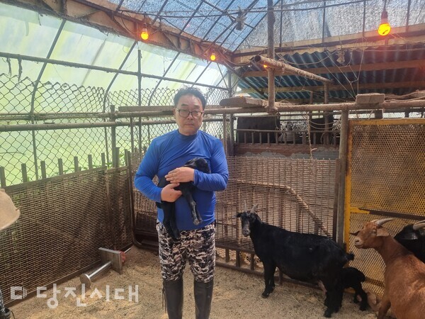피해 농장주인 윤석남 씨가 굉음에 놀라 어미 염소가 조기 분만해 태어난 원래 크기보다 작은 새끼염소를 안아 들고 있다.