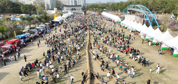 기지시 줄다리기 축제 현장