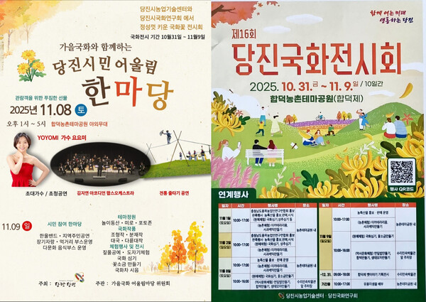 합덕에서 개최되는 국화축제 홍보 포스터. 사진 왼쪽이 어울림한마당 위원회의 홍보 전단지, 사진 오른쪽이 당진국화연구회의 국화전시회 홍보 포스터