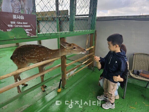 탑동초등학교병설유치원이 지난 16일 유아 전원을 대상으로 실내동물원 현장체험학습을 실시했다.