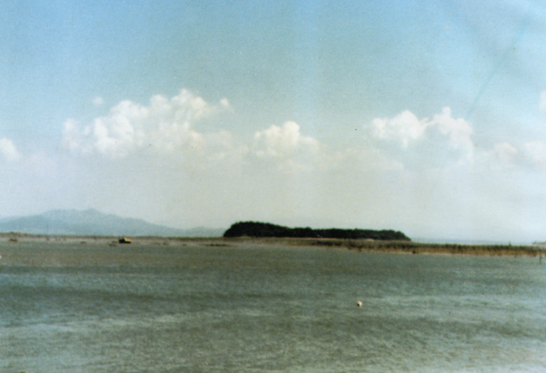 1993년 가을 한진에서 바라 본 행담도 / 전다한