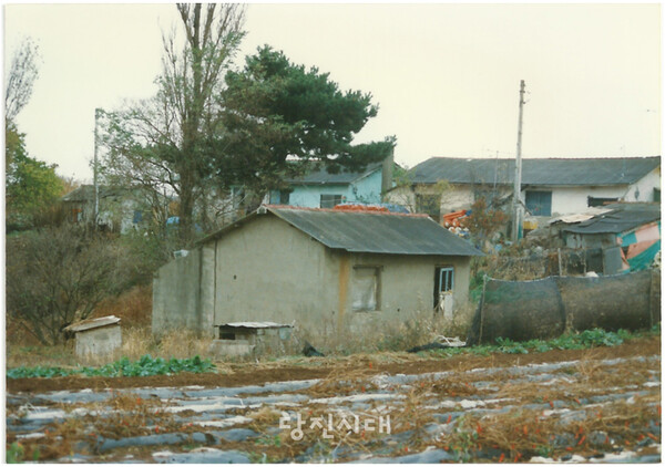 행담도 개발로 폐허가 되어버린 새마을주택의 풍경