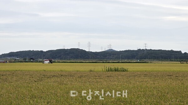 벼 수확하고 있는 모습(자료사진)