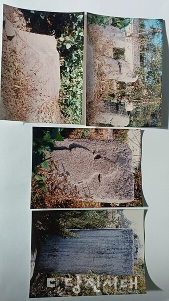 탑동의 오래 된 석물들과 채운포석교비. 1991년 대학 다닐 때 찍어둔 사진이다