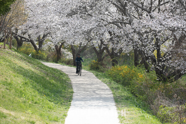 당진천(사진제공: 충남콘텐츠연구소 지음협동조합)