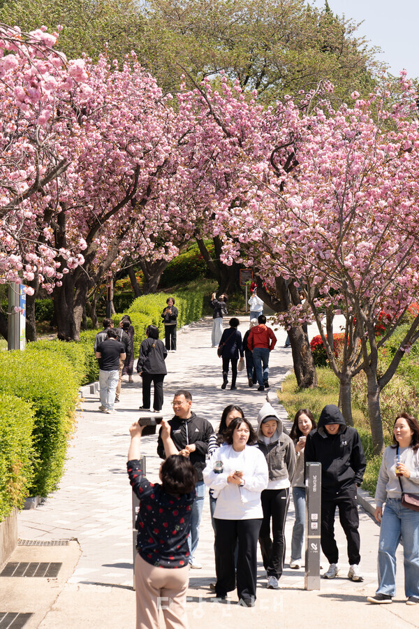 남산공원(사진제공: 충남콘텐츠연구소 지음협동조합)