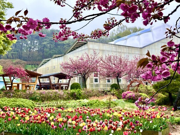 당진시농업기술센터(사진제공: 한만호 당진시농업기술센터 팀장)