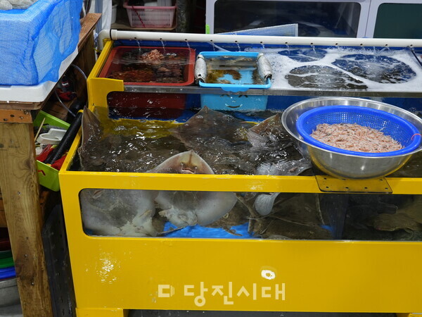 간재미도 만날 수 있다.