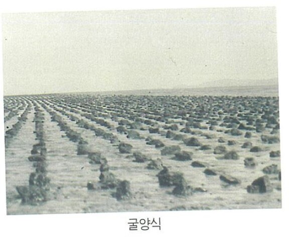 과거 대호지면 적서리는 굴 양식이 활발했던 대표적인 어촌 마을 가운데 하나였다.