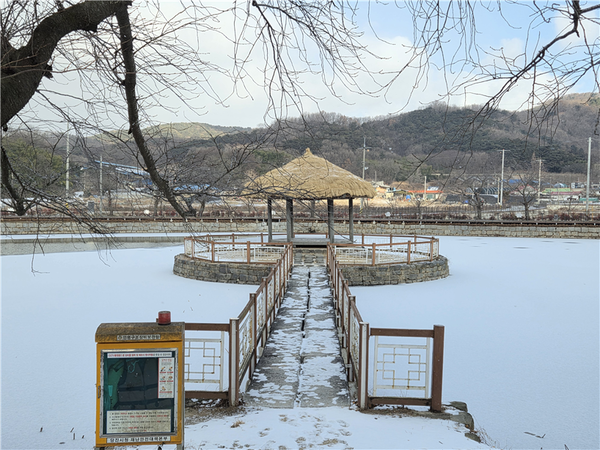 골정지의 겨울
