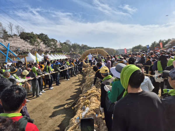 2026년 기지시줄다리기축제