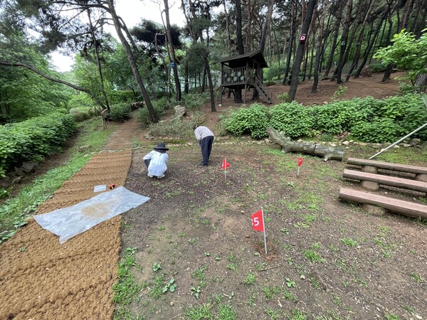 한국환경공단 전문인력이 삼선산수목원 어린이 모래놀이터에서 토양 시료를 채취하고 있다.