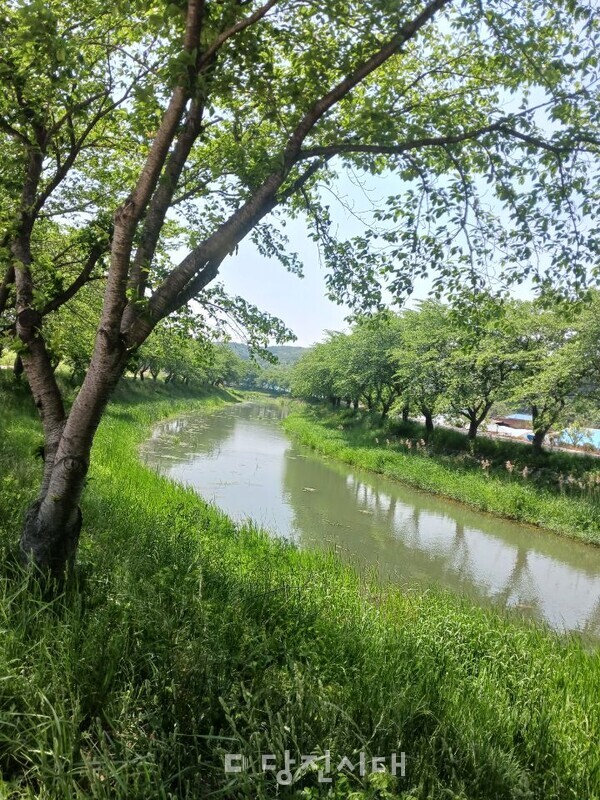 당진천