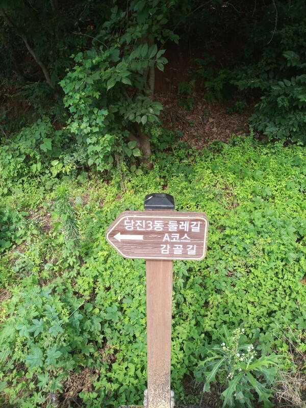 감골(시곡동)길