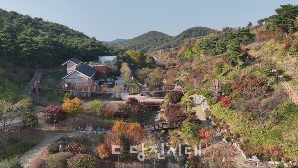 당진의 가을 숲길 따라 느끼는 삼선산수목원