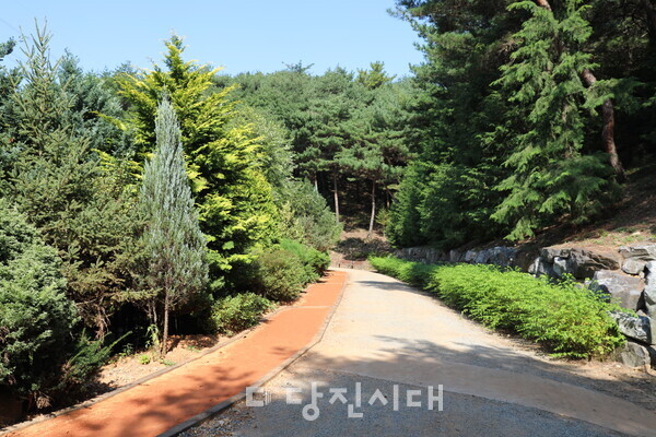 삼선산수목원 맨발걷기길